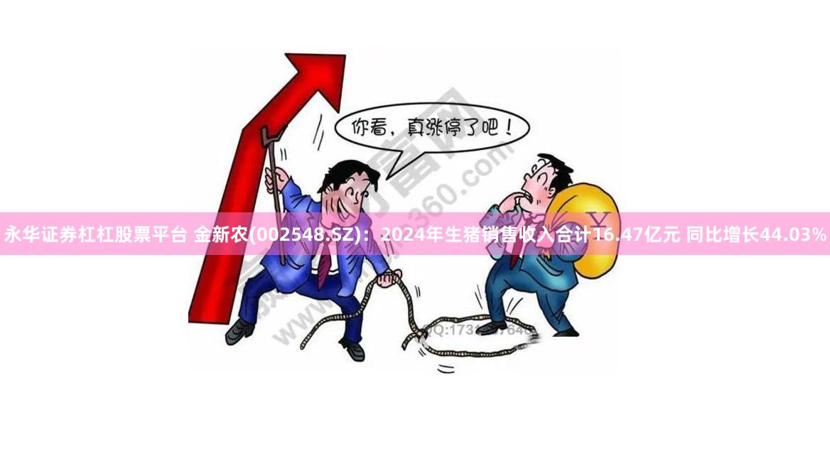 永华证券杠杠股票平台 金新农(002548.SZ)：2024年生猪销售收入合计16.47亿元 同比增长44.03%